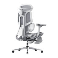HBADA E3 Pro Ergonomic Office Chair~1-0-1