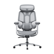 HBADA E3 Pro Ergonomic Office Chair~1-0-0