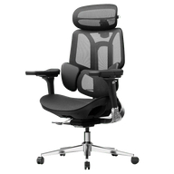 HBADA E3 Pro Ergonomic Office Chair~1-1-0