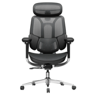 HBADA E3 Pro Ergonomic Office Chair~1-1-0