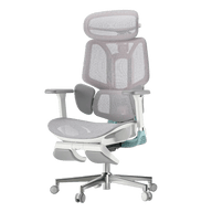 HBADA E3 Pro Ergonomic Office Chair~1-2-1