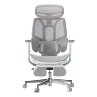 HBADA E3 Pro Ergonomic Office Chair~1-2-1