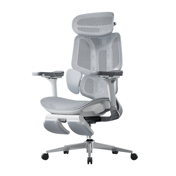 HBADA E3 Pro Ergonomic Chair with Footrest lumbar support-gray~0-0-1