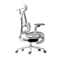 HBADA E3 Ultra Ergonomic Office Chair Futuristic~2-1-1