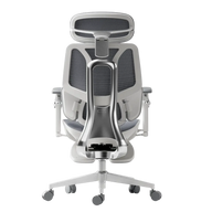 HBADA E3 Ultra Ergonomic Office Chair Futuristic~2-1-1