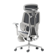 HBADA E3 Ultra Ergonomic Office Chair Futuristic~2-1-1