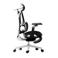 HBADA E3 Ultra Ergonomic Office Chair Futuristic~2-0-1