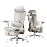 HBADA E3 Ultra Ergonomic Office Chair