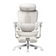 HBADA E3 Ultra Ergonomic Office Chair