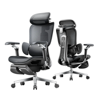 HBADA E3 Ultra Ergonomic Office Chair