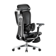 HBADA E3 Ultra Ergonomic Office Chair