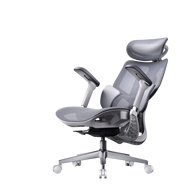 HBADA E3 Air Ergonomic Office Chair without footrest gray front~0-0