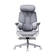 HBADA E3 Air Ergonomic Office Chair without footrest gray front~0-1