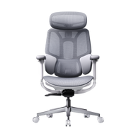 HBADA E3 Air Ergonomic Office Chair without footrest gray front~0-0