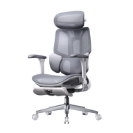 HBADA E3 Air Ergonomic Office Chair without footrest gray front~0-1