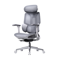 HBADA E3 Air Ergonomic Office Chair without footrest gray front~0-0