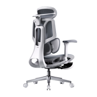 HBADA E3 Air Ergonomic Office Chair without footrest gray front~0-1