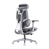 HBADA E3 Air Ergonomic Office Chair without footrest gray front~0-0
