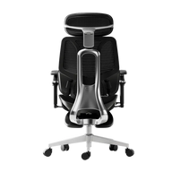 HBADA E3 Ultra Ergonomic Office Chair alumium back black~0