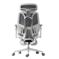 HBADA E3 Ultra Ergonomic Office Chair alumium back white~1