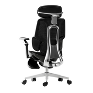 HBADA E3 Ultra Ergonomic Office Chair alumium side back black~0