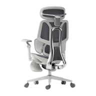 HBADA E3 Ultra Ergonomic Office Chair alumium side back white~1