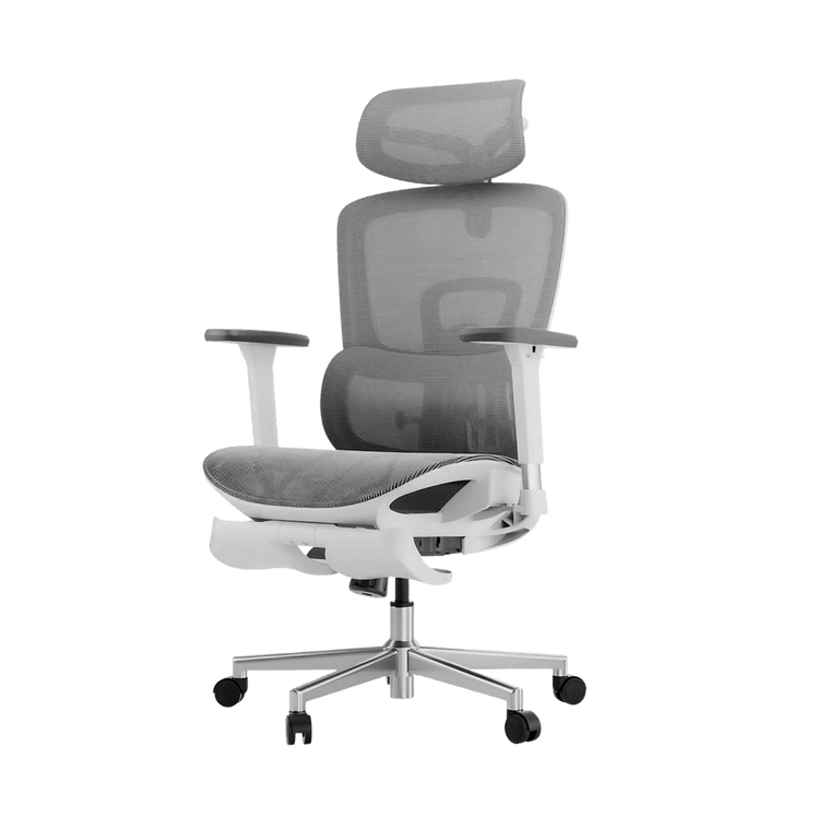 HBADA E2 Ergonomic Office Chair