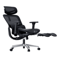 Hbada P2 Pro Ergonomic Office Chair-Black~1-1