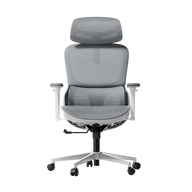 P2 Pro Ergonomic Office Chair without Footrest-Gray~0-0