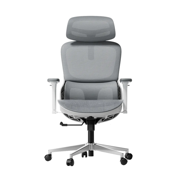 P2 Pro Ergonomic Office Chair without Footrest-Gray~0-0