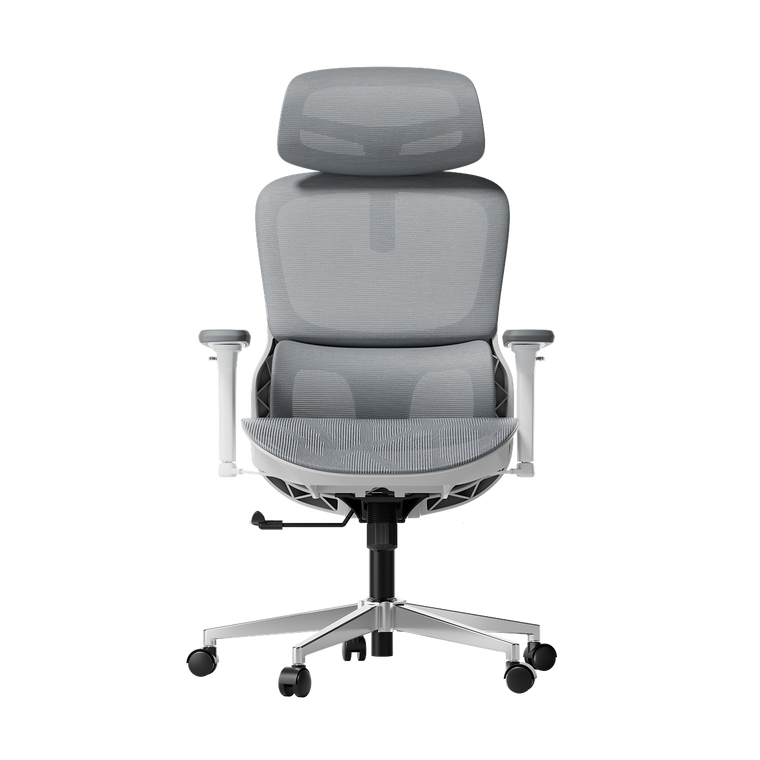 P2 Pro Ergonomic Office Chair without Footrest-Gray~0-0