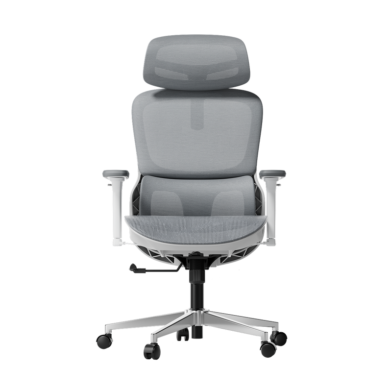 P2 Pro Ergonomic Office Chair without Footrest-Gray~0-0