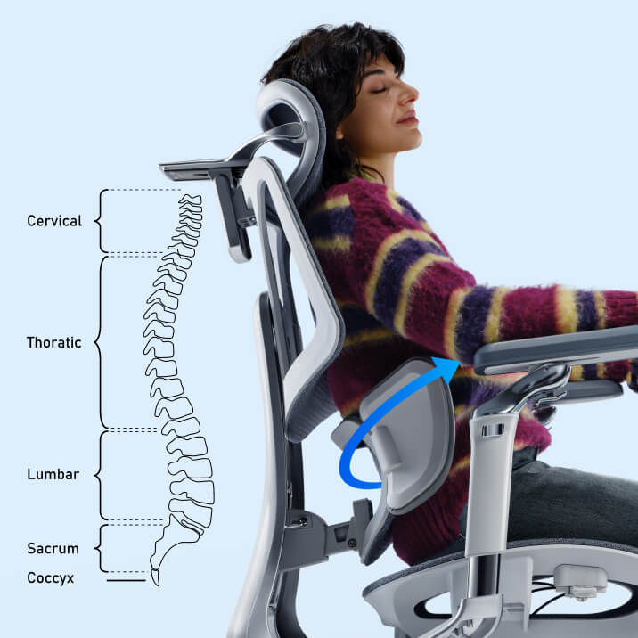 Person sitting in a ergonomic chair with a diagram of a spine on a light blue background