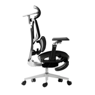 HBADA E3 Ultra Ergonomic Office Chair Futuristic(with Footrest) black right~0