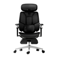 hbada_e3_ultra_ergonomic_chair hbada_e3_ultra_ergonomic_chair