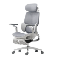 Hbada_E3_Ultra_Ergonomic_Chair with footrest gray~1