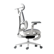 HBADA E3 Ultra Ergonomic Office Chair Futuristic(with Footrest) gray right~1