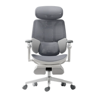 HBADA E3 Ultra Ergonomic Office Chair Futuristic(with Footrest) gray front~1
