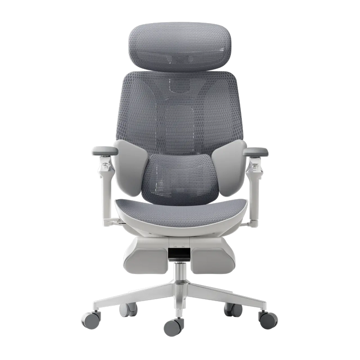 HBADA E3 Ultra Ergonomic Office Chair Futuristic(with Footrest) gray front