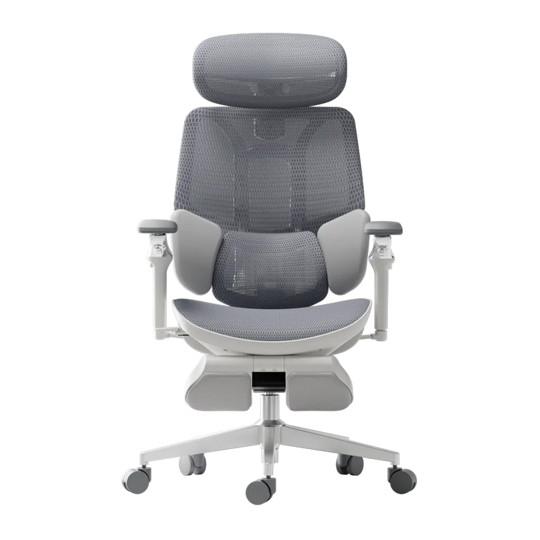 HBADA E3 Ultra Ergonomic Office Chair Futuristic(with Footrest) gray front~0