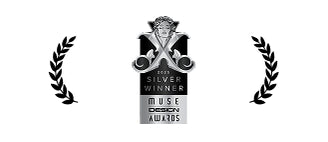 Hbada Ergonomic Office Chair reward of muse silver winner — Work From Home Setup