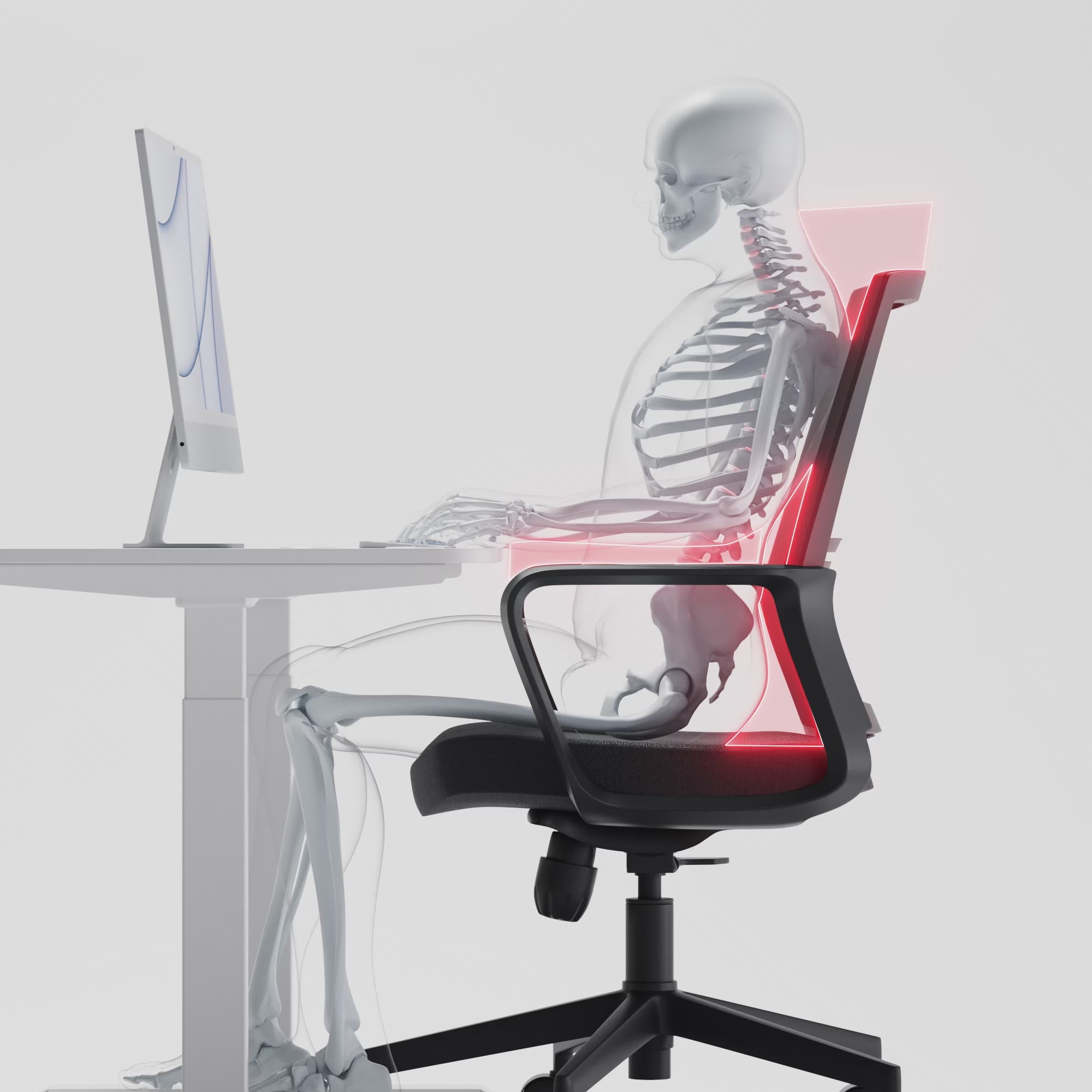 Best Professional ergonomic chair (Traditional Chair)
