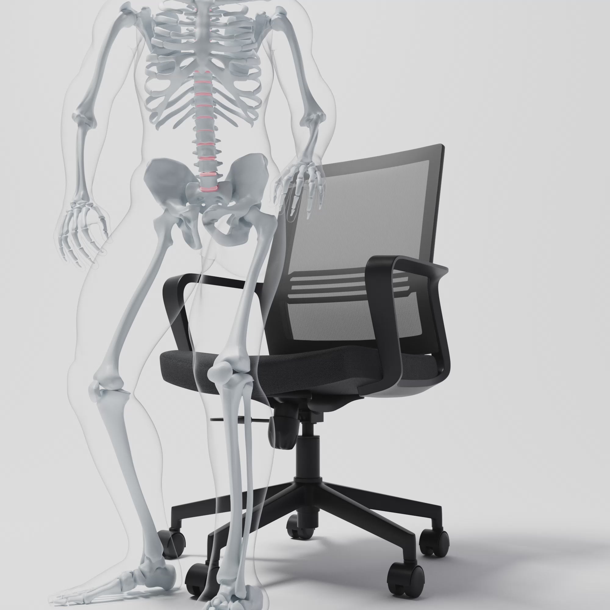 Back lumbar support (Traditional Chair)