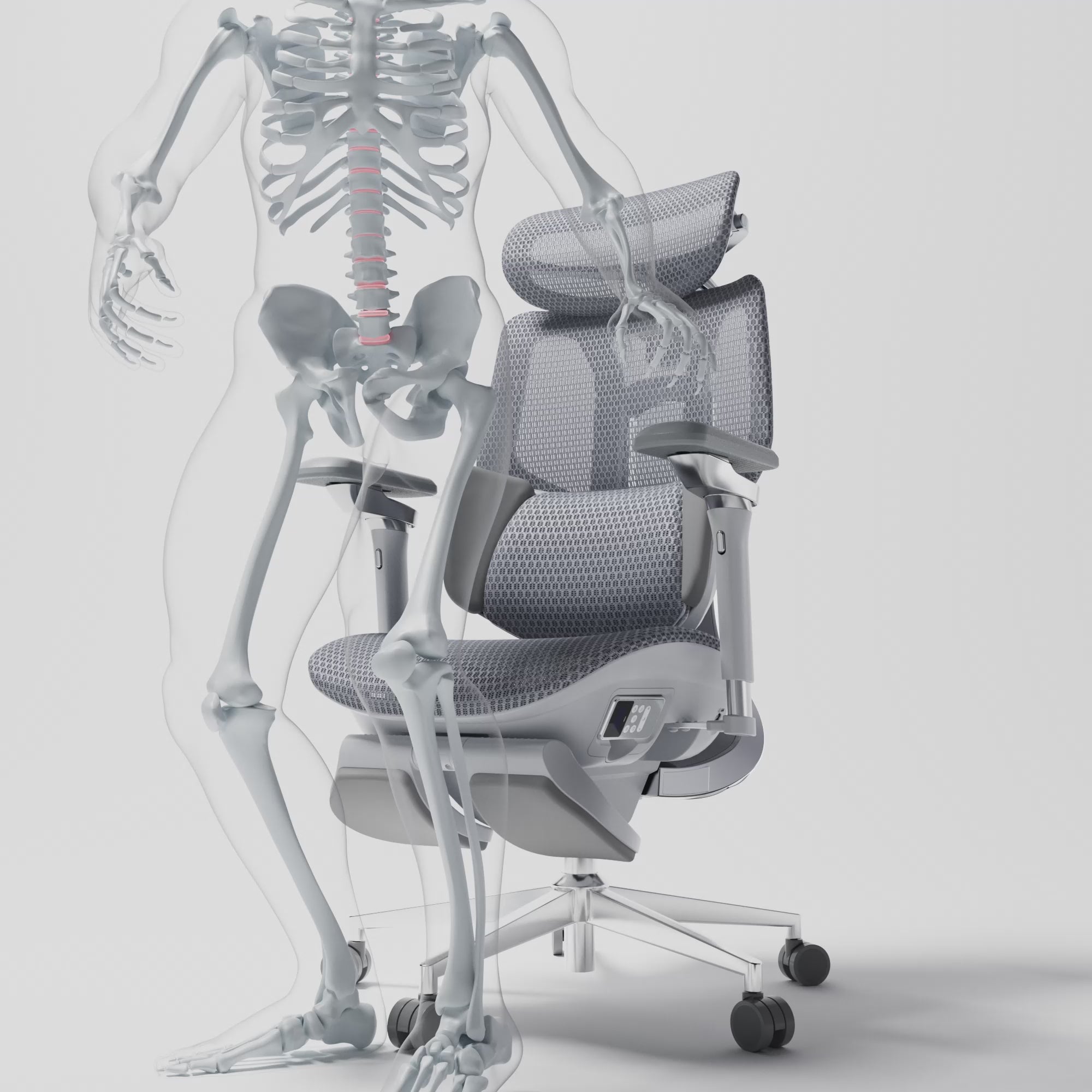 Best Back lumbar support (HBADA)
