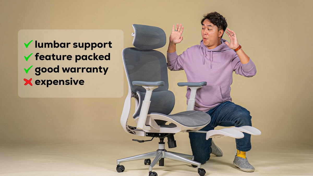 GREAT Lumbar Support + TONS of Adjustments = SOLID Budget Mesh Chair | Hbada P2 Review